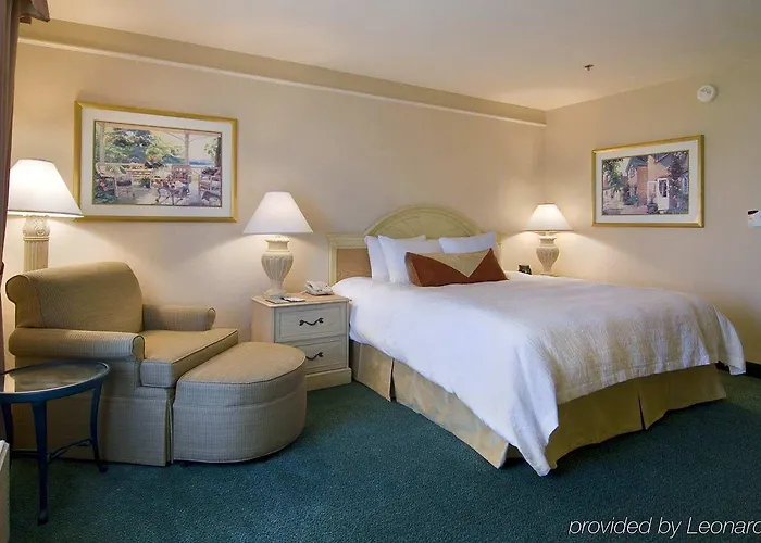 Hotel Hilton Garden 3*